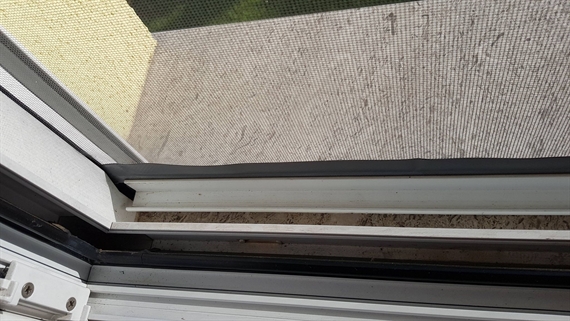 Cambio rete zanzariera